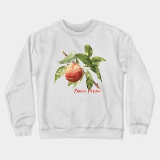 Peachy Freshness Crewneck Sweatshirt